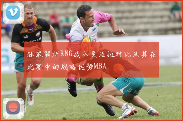 独家解析RNG战队灵活性对比及其在比赛中的战略优势MBA