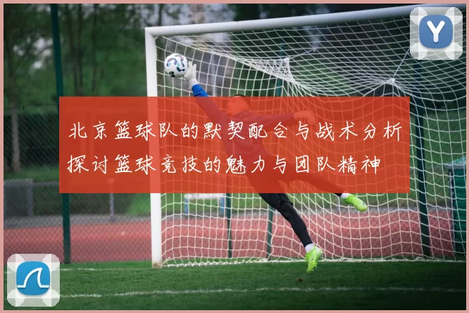 北京篮球队的默契配合与战术分析探讨篮球竞技的魅力与团队精神