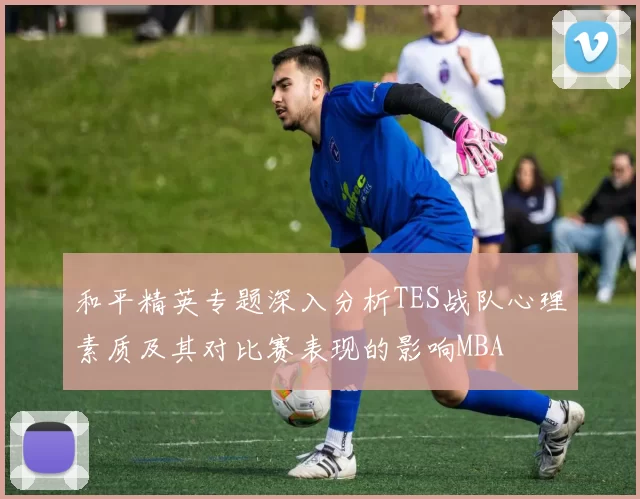 和平精英专题深入分析TES战队心理素质及其对比赛表现的影响MBA