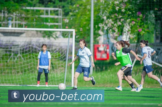 App Interface Preview