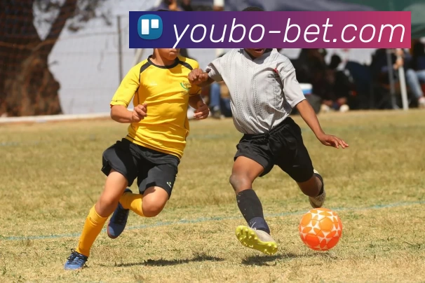 youbo友博体育APP 高清赛事图